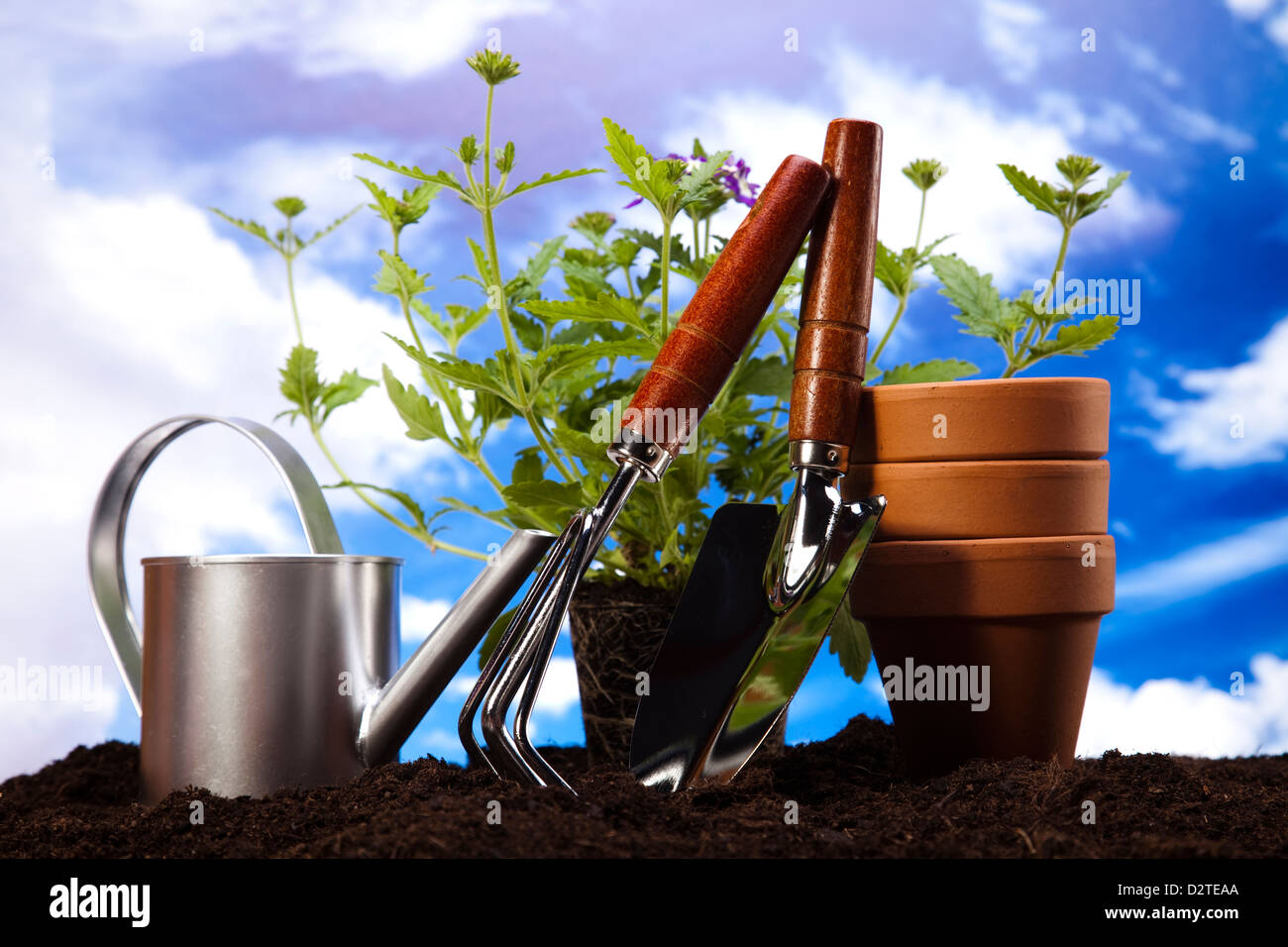 Flower, watering can and garden tools on sky background Stock Photo Alamy