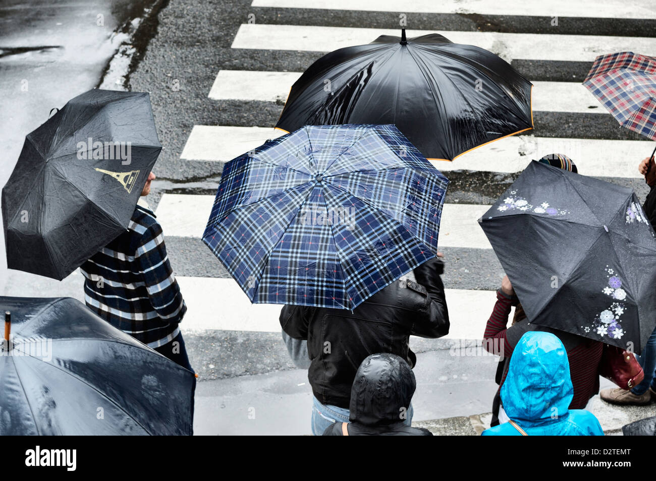 Pedestrians with umbrellas by a crossing on a city street in the rain Stock Photo