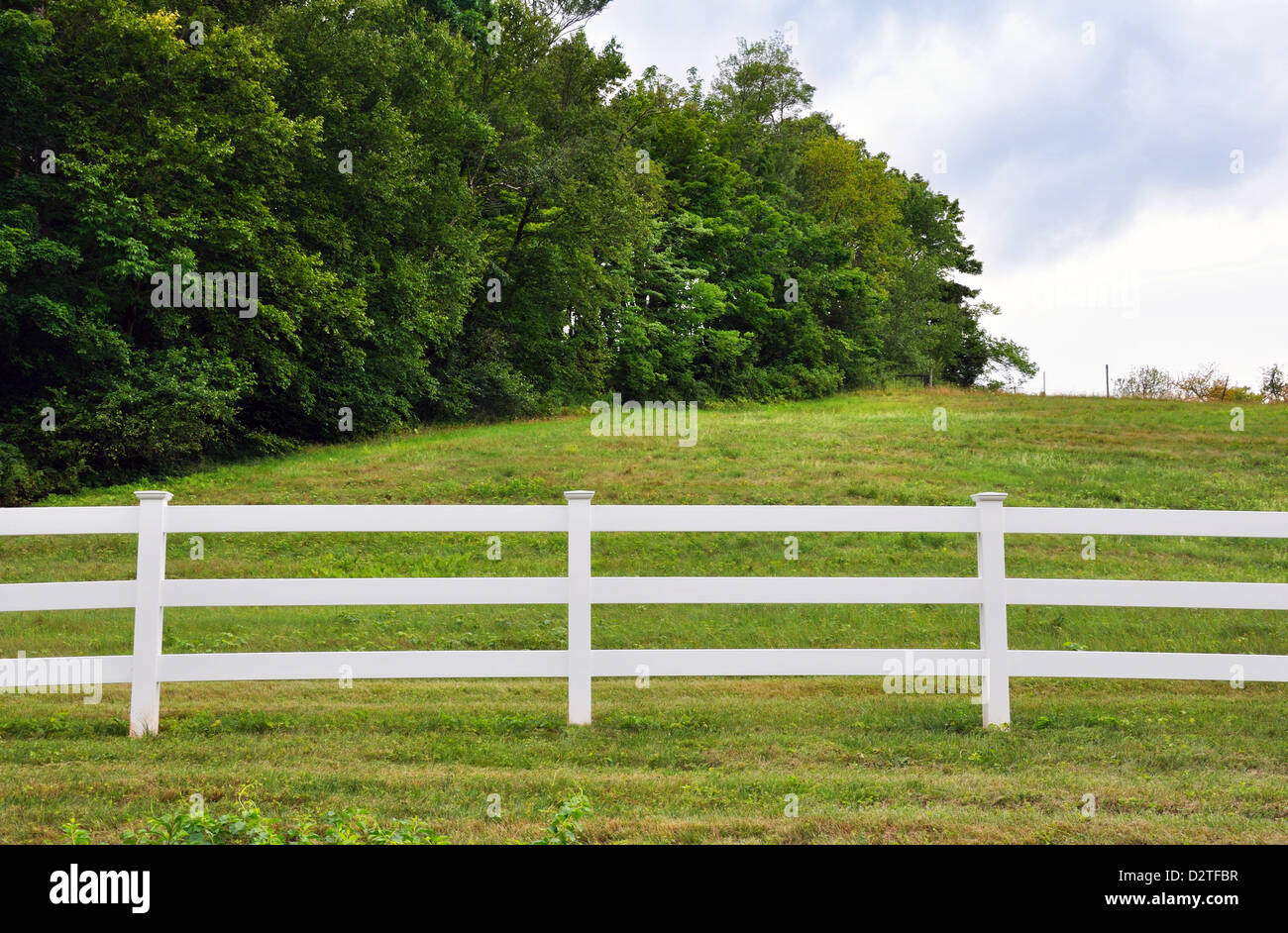 New england white fence horse hi-res stock photography and images - Alamy