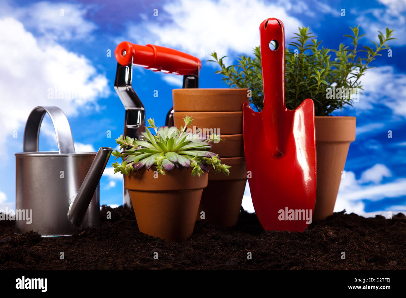 Flower, watering can and garden tools on sky background Stock Photo - Alamy