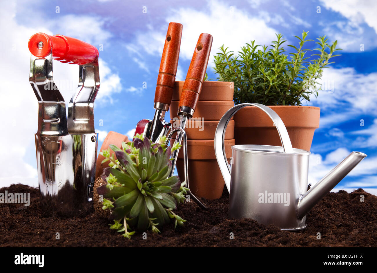 Flower, watering can and garden tools on sky background Stock Photo - Alamy