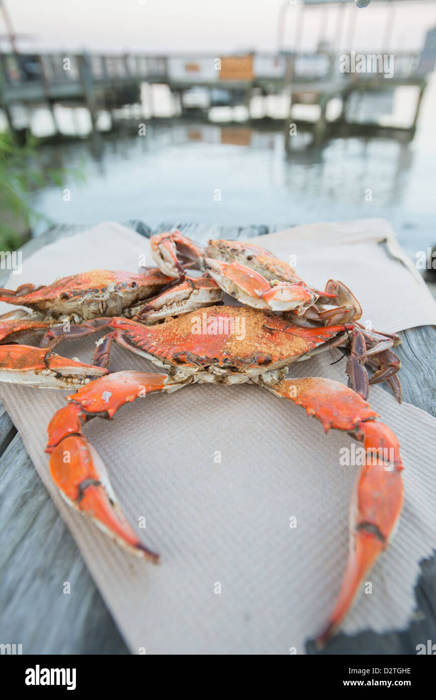 Home is Where the Old Bay is Wood Sign Maryland Tradition Steamed Crabs 