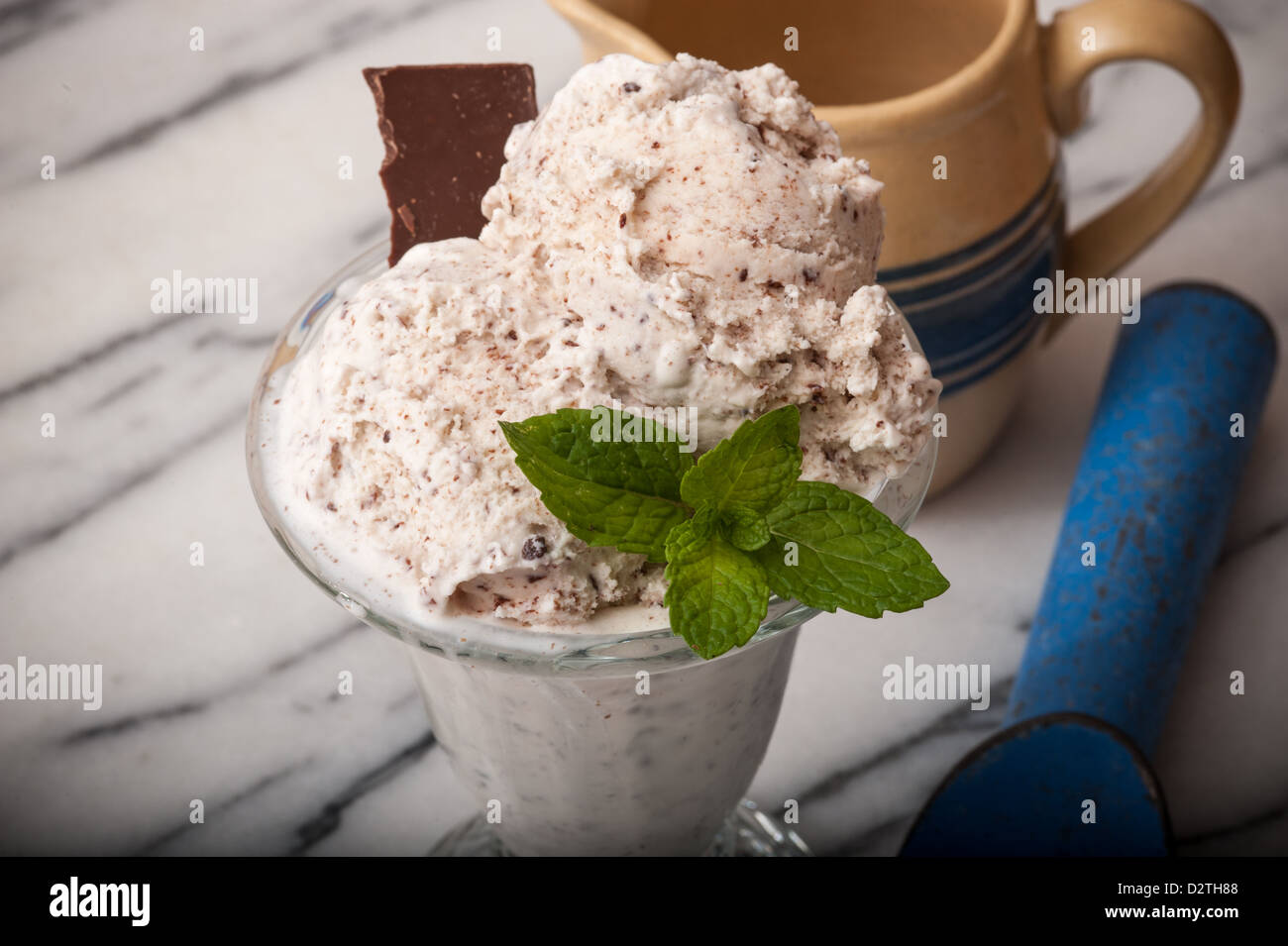 Mint Chocolate Chip Ice Cream Stock Photo