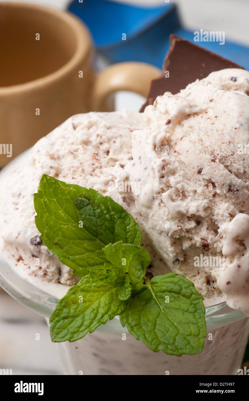 Mint Chocolate Chip Ice Cream Stock Photo