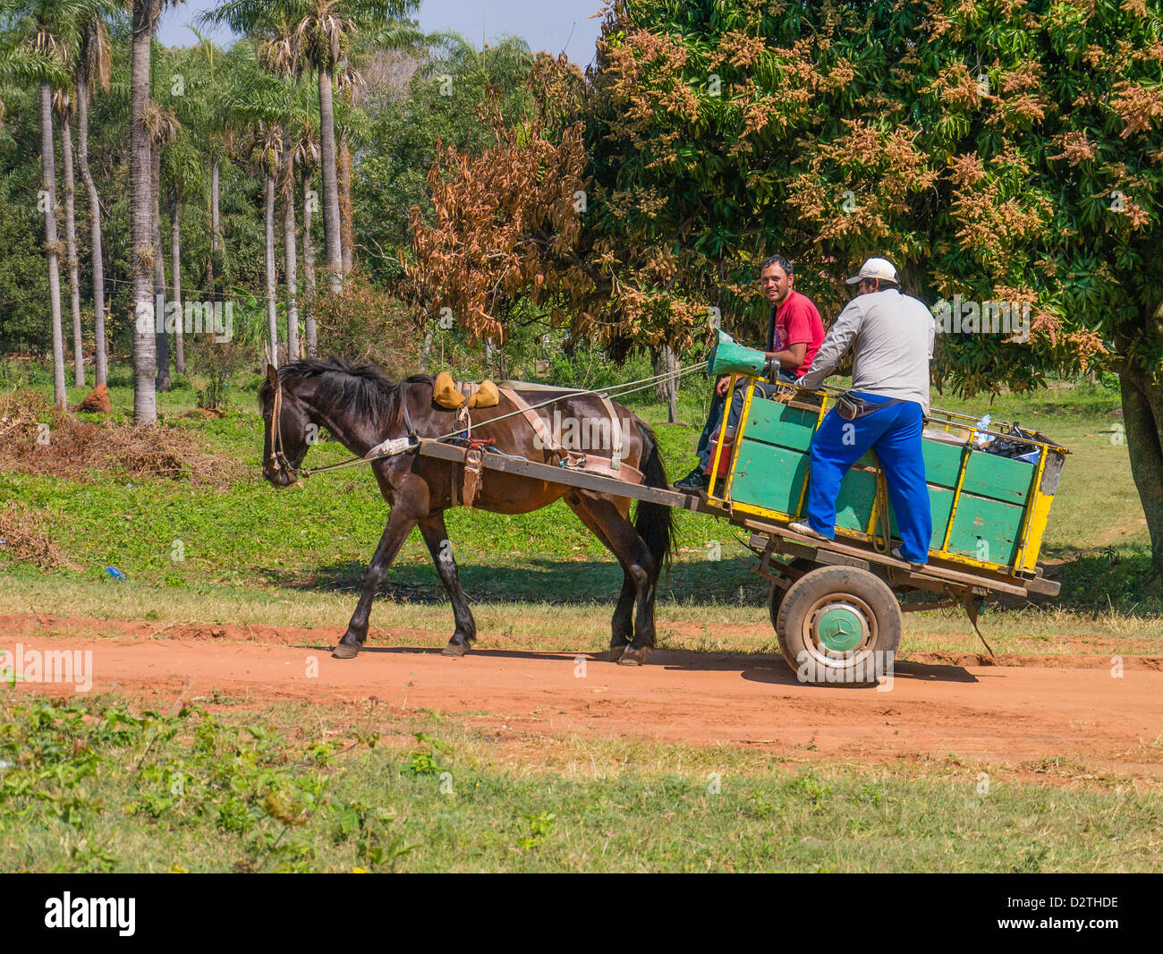Horse Delivery Stock Photos & Horse Delivery Stock Images Alamy