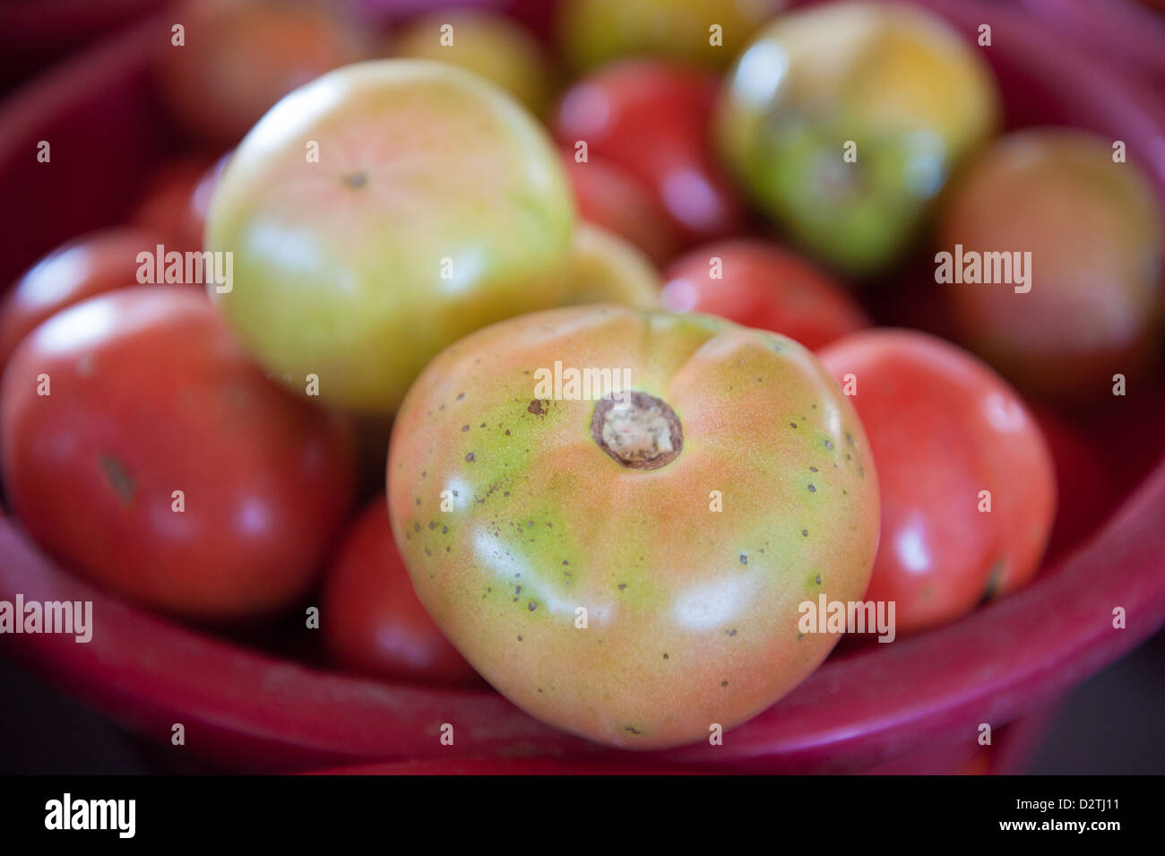 Baskets of vegetables on a farm, tomatoes Stock Photo - Alamy