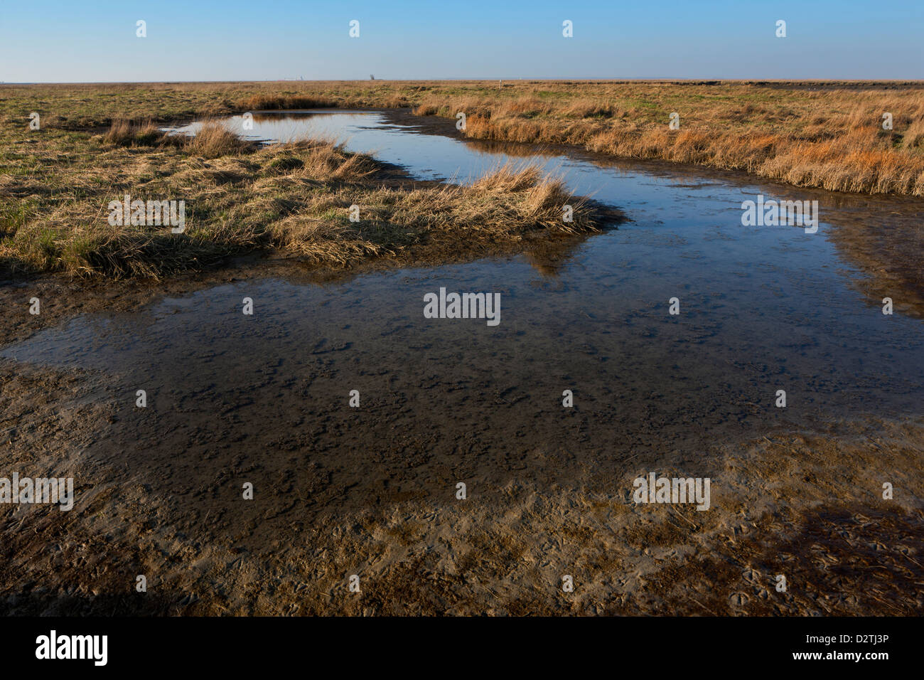 Tidal mudflat at salt marsh in the Verdronken Land van Saeftinghe, estuary of the Western Scheldt in Belgium / the Netherlands Stock Photo