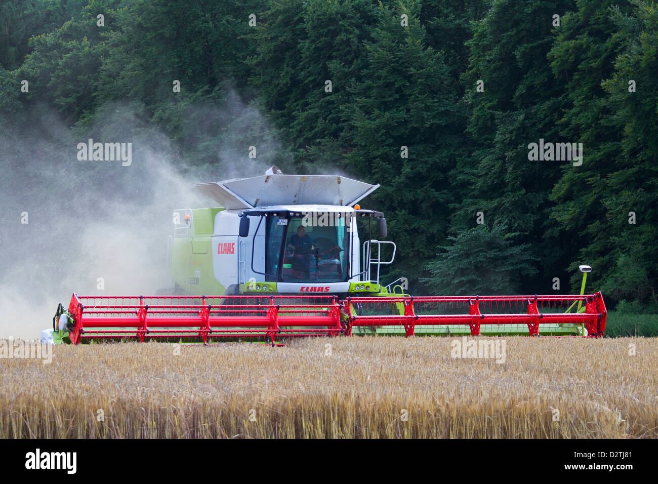 Farmer in combine harvester harvesting cereals on cornfield / wheat field of farmland in summer Stock Photo