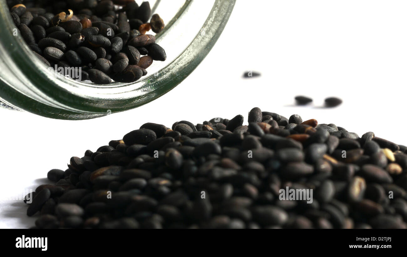 Black sesame plant hi-res stock photography and images - Alamy