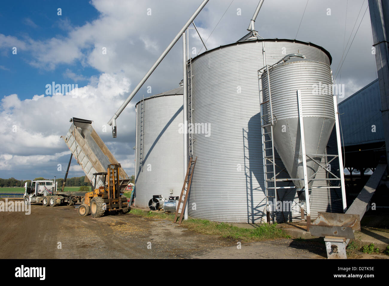 Grain bins on a farm Stock Photo Alamy