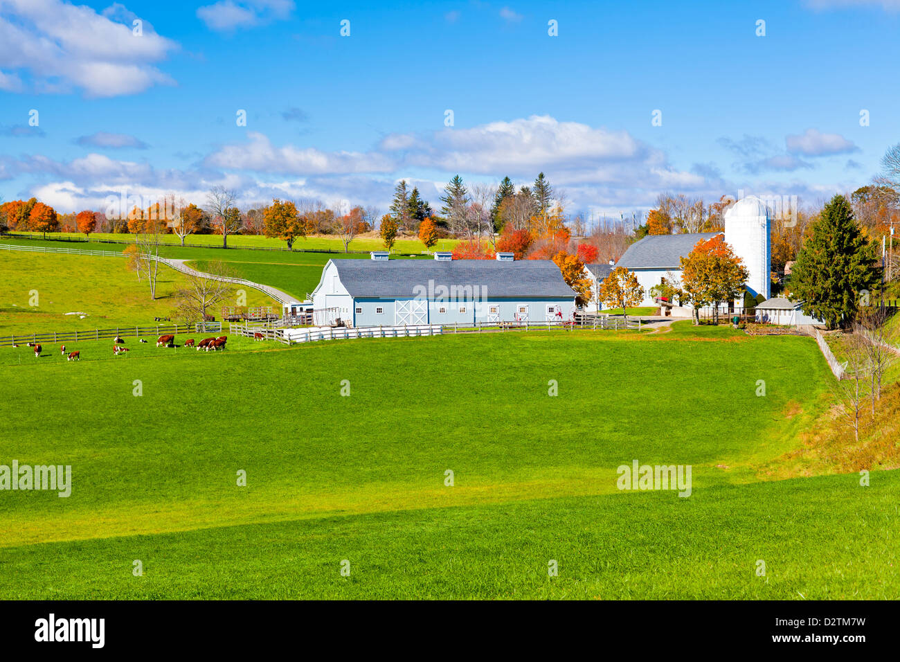 New england colonial style farmhouse hi-res stock photography and ...