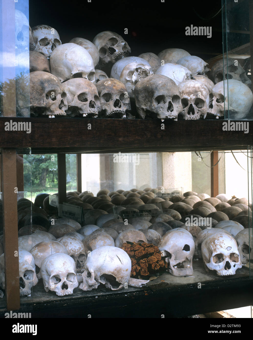 Cambodia, Phnom Penh, Choeung Ek, The Killing Fields, sculls of victims at the monument Stock Photo