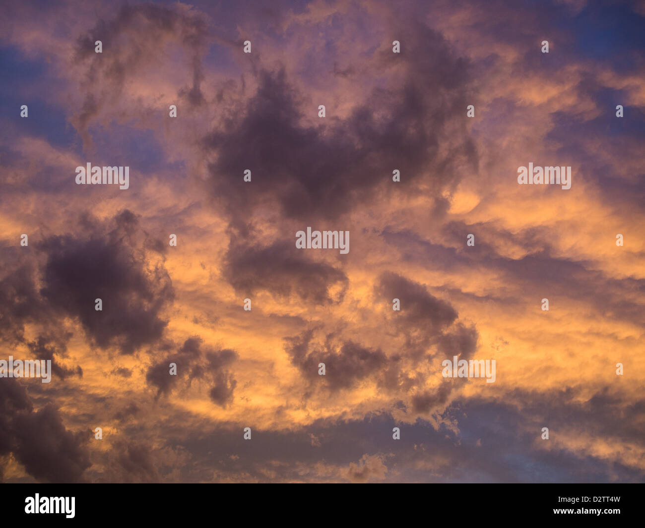 Purple and pink fluffy clouds at sunset Stock Photo