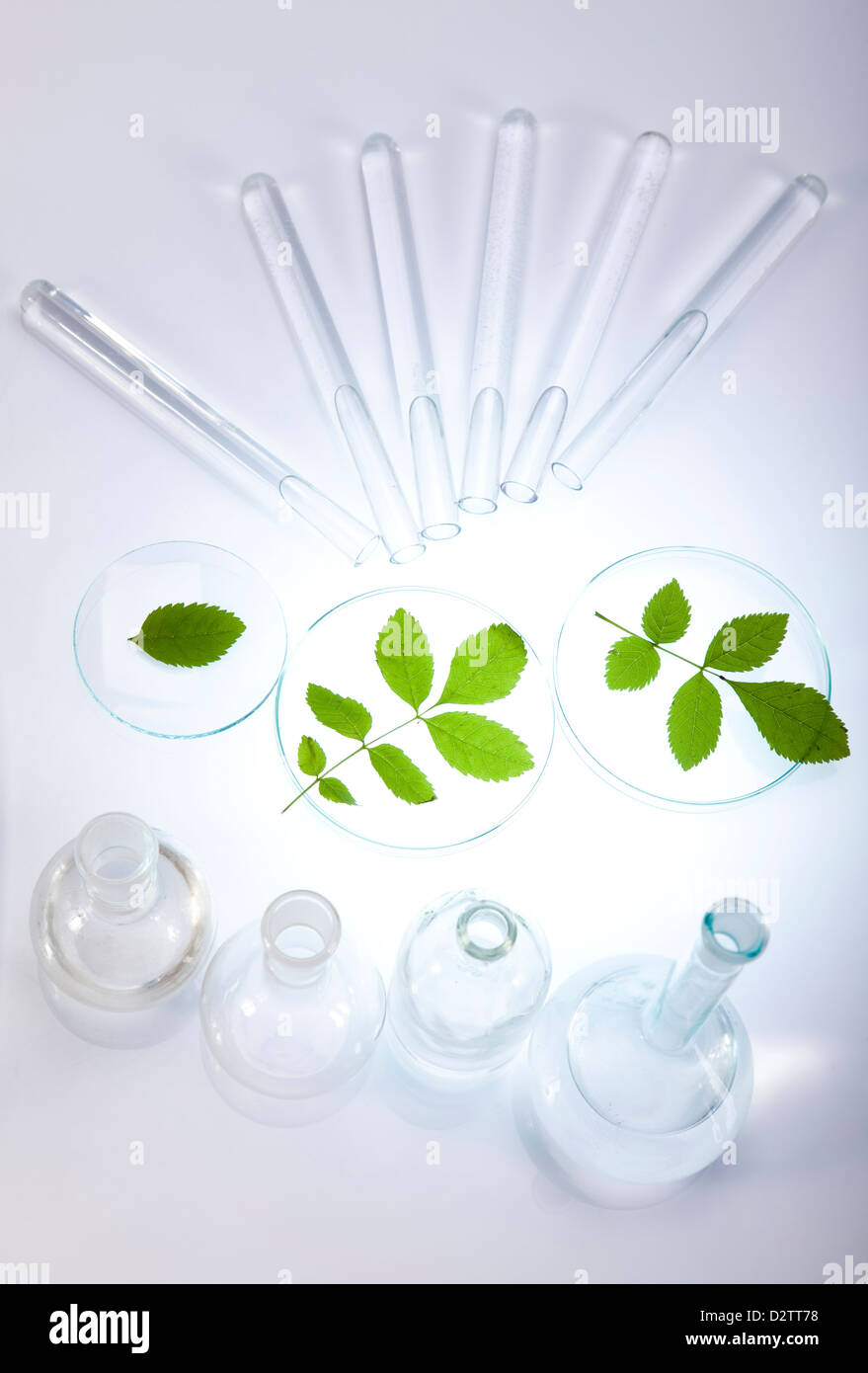 Plants and laboratory Stock Photo - Alamy