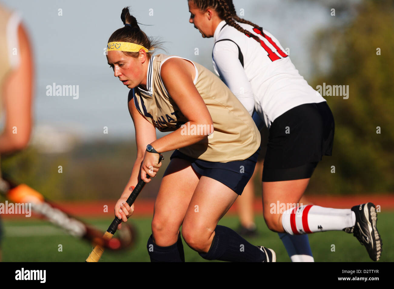 A Juniata College player competes against Catholic University in the Landmark Conference field hockey championship. Stock Photo