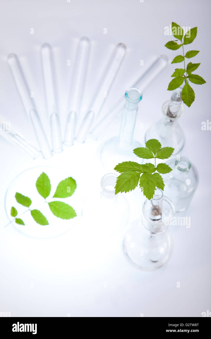 Plants and laboratory Stock Photo - Alamy
