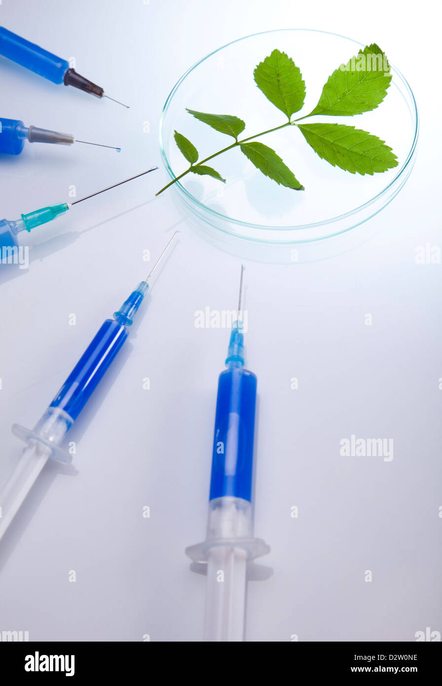 Ecology laboratory experiment in plants Stock Photo Alamy