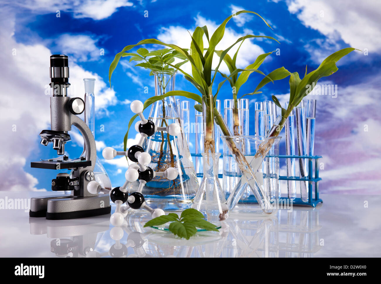 Ecology laboratory experiment in plants Stock Photo Alamy