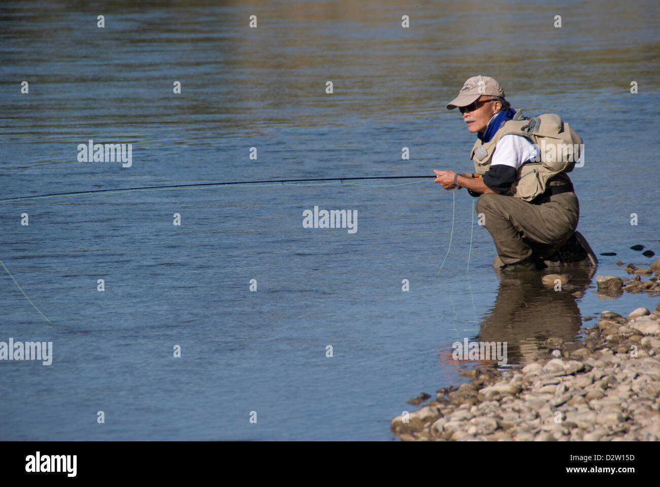 A Fly fisherman sight casting to Brown trout in a tailwater section of the Red Deer, River, Alberta,Canada. Stock Photo
