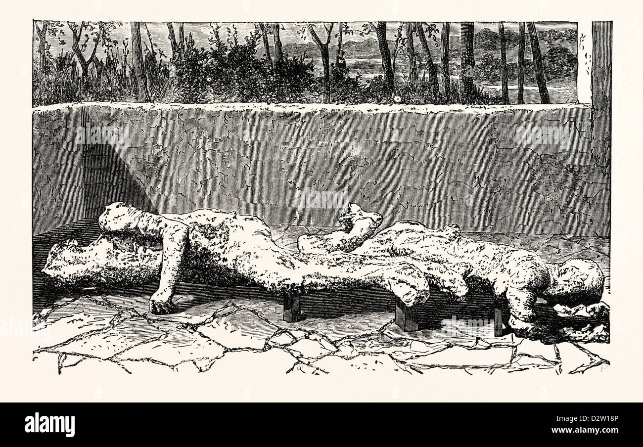 CASTS OF DEAD BODIES OF TWO WOMEN. Stock Photo