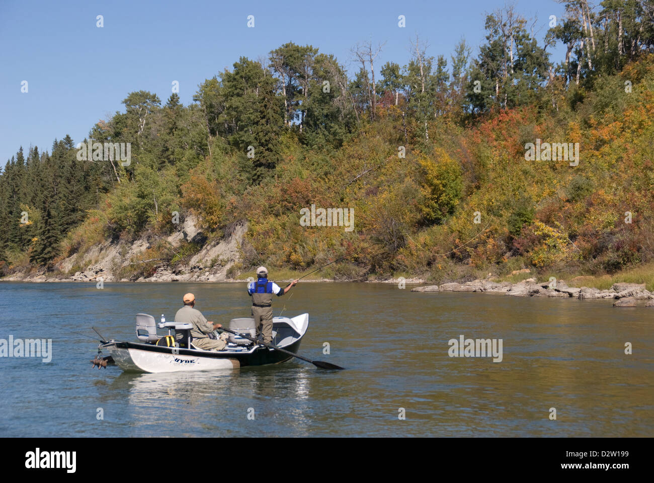 Guided catch and release fly fishing on the Red Deer River,Alberta