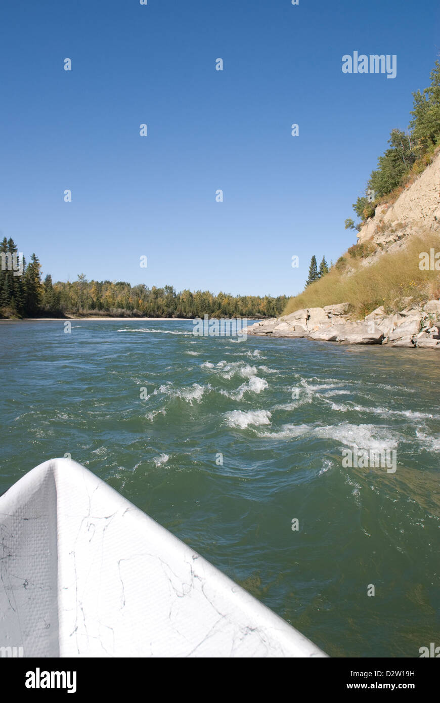 Guided catch and release fly fishing on the Red Deer River,Alberta