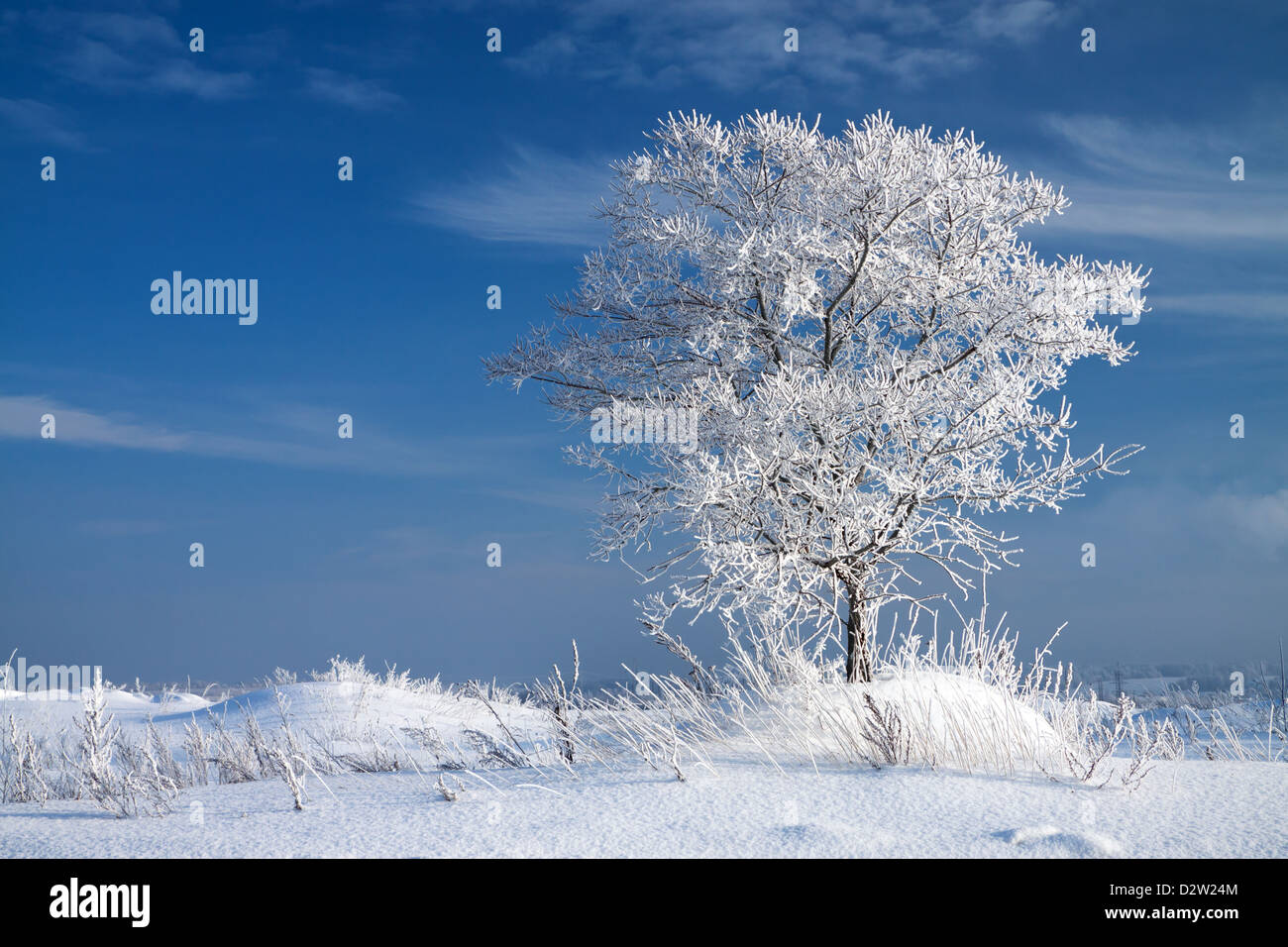 Frost landscape hi-res stock photography and images - Alamy