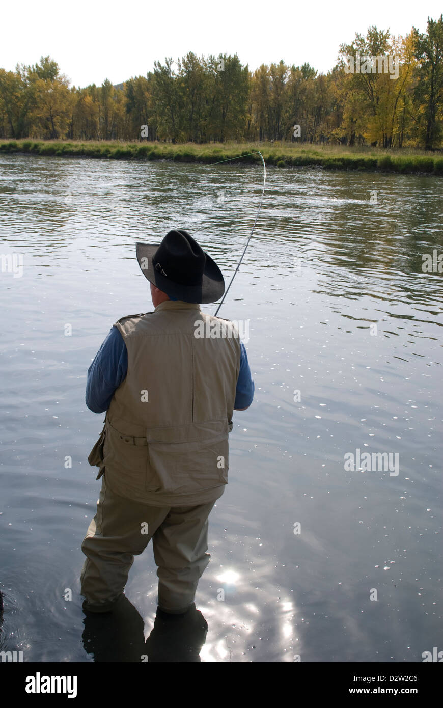 Fly fishing for Rainbow Trout on the Bow River near Calgary,Alberta