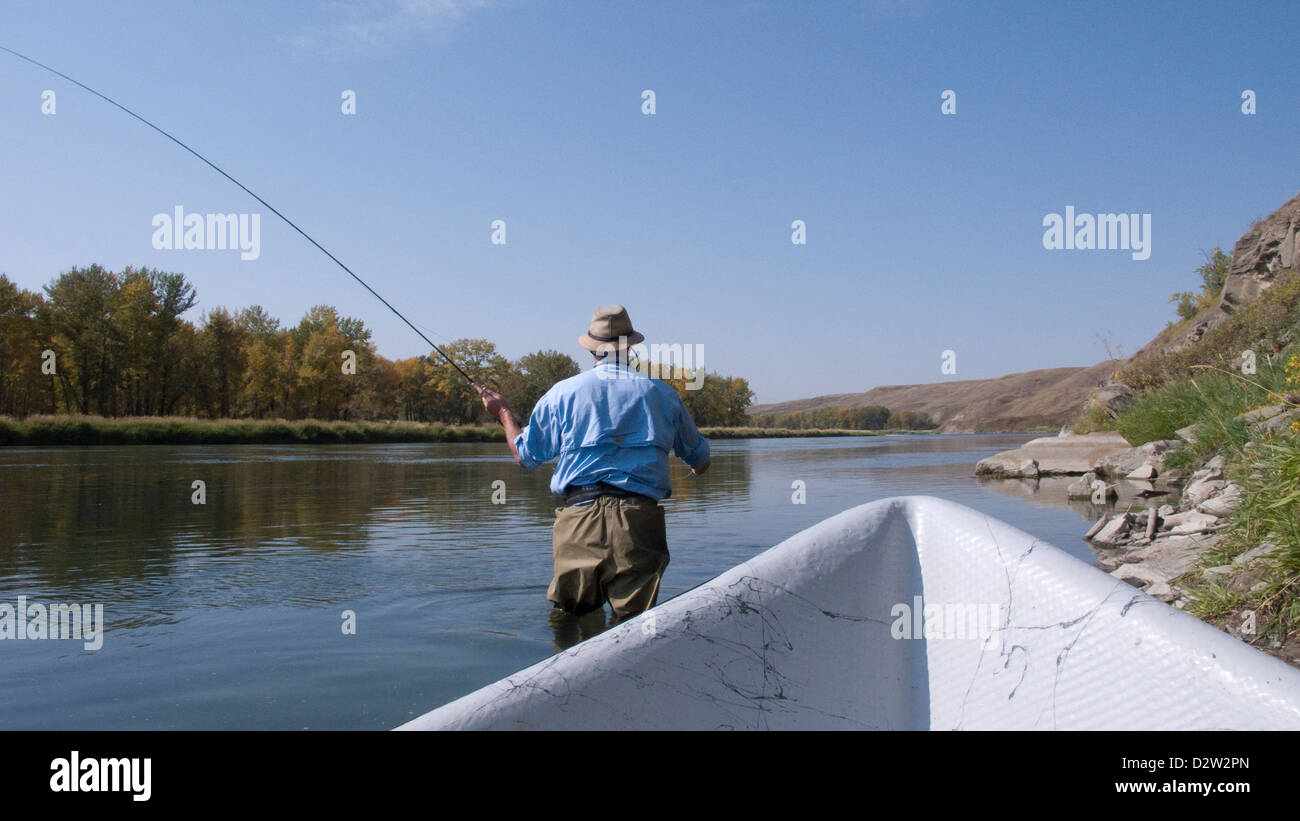 Fishing Guide fly casting fro Rainbow trout on the Bow River, Alberta