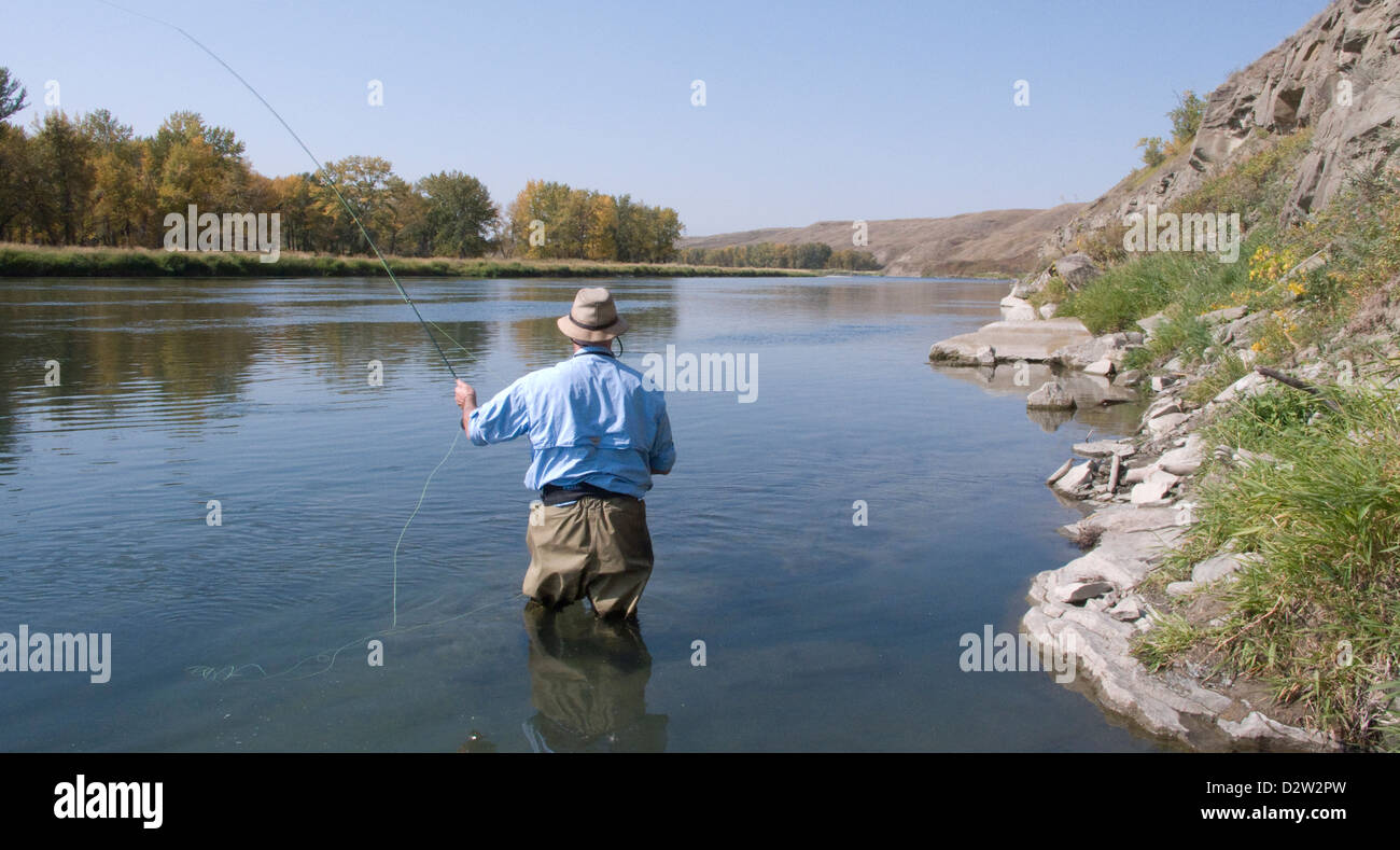 Fishing Guide fly casting fro Rainbow trout on the Bow River, Alberta