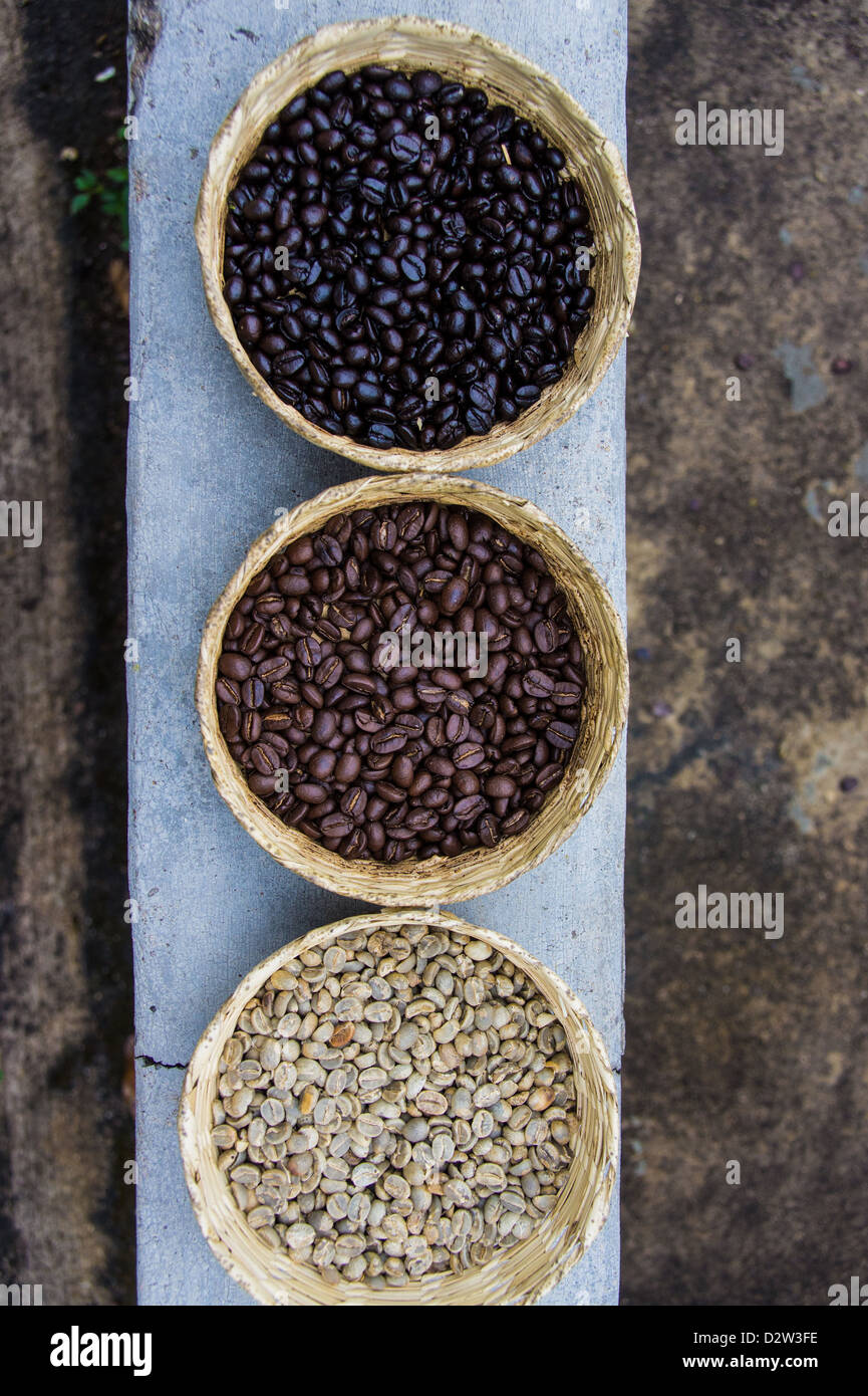 coffee beans Mexico Stock Photo Alamy