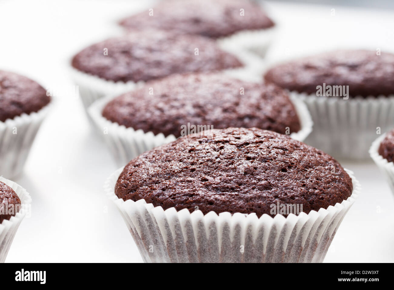 Chocolate cupcake ready to be decorated. Stock Photo