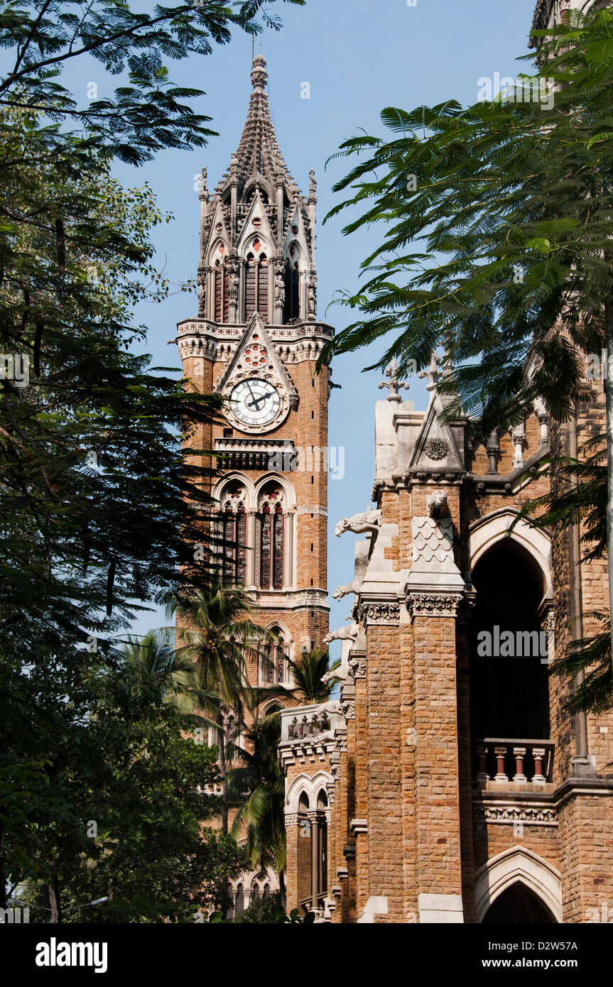 University of Mumbai Rajabai clock tower Fort Mumbai ( Bombay ) India Stock Photo