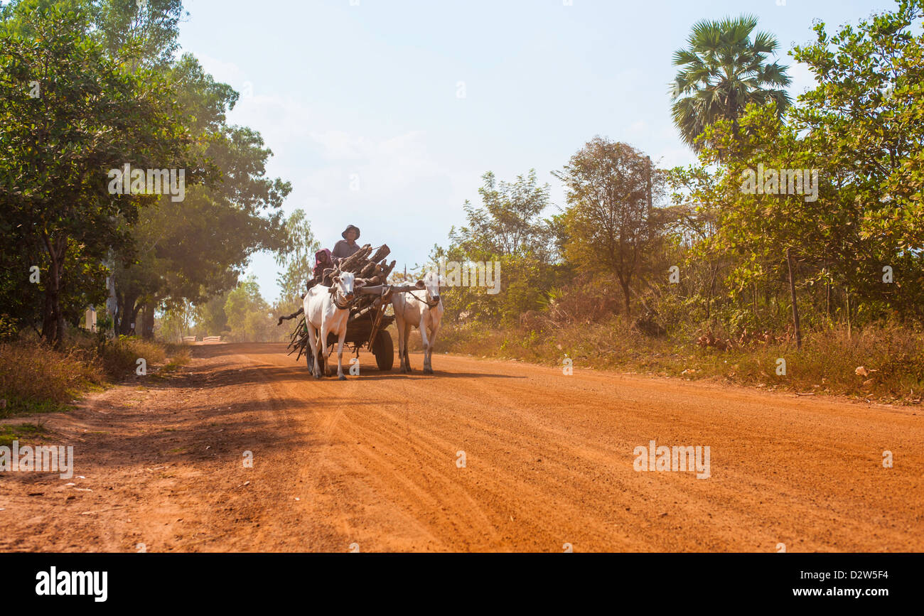 cambodia ox cart on a dirt road Stock Photo