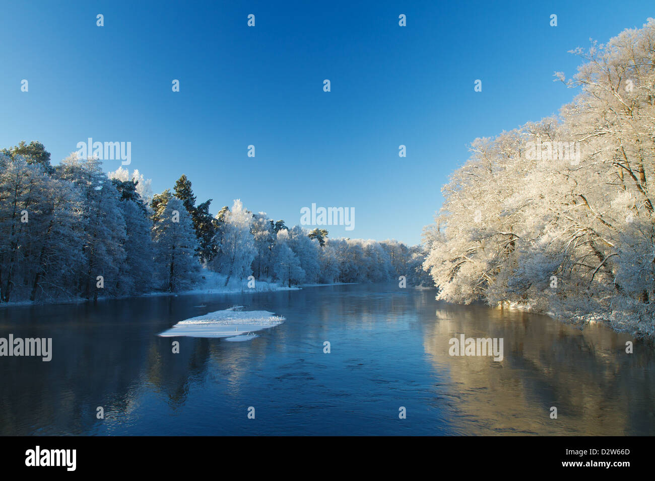 Beautiful cold, frosty, sunny winter day in Sweden. Trees covered with frost. Vapor comes up from the river. Stock Photo