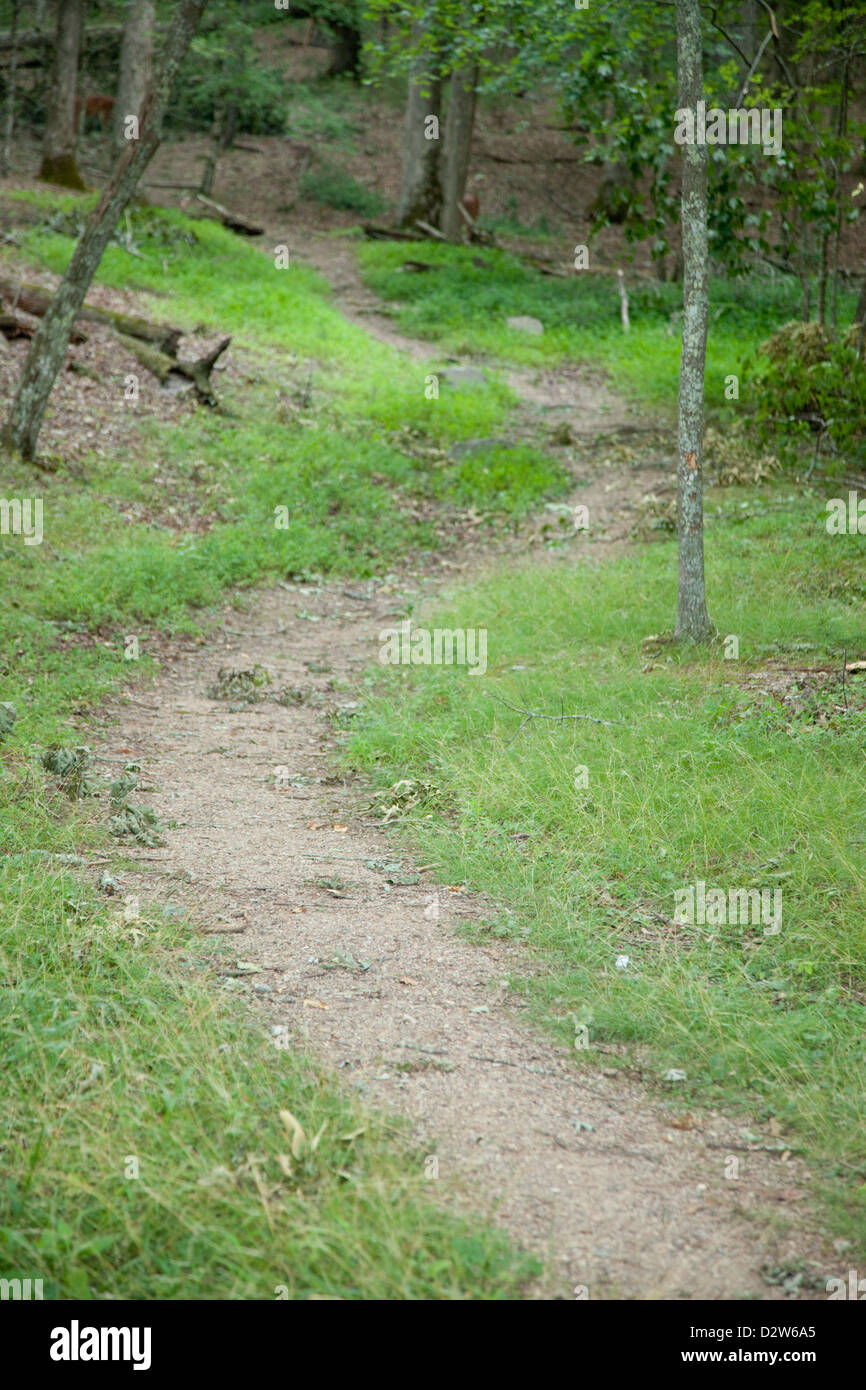 Trees on either side of her hi-res stock photography and images - Alamy