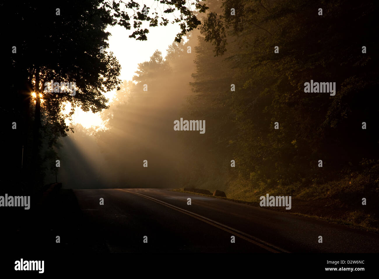 Road through the woods and into the light - may be a symbol the end of life or death, as one travels into the light Stock Photo