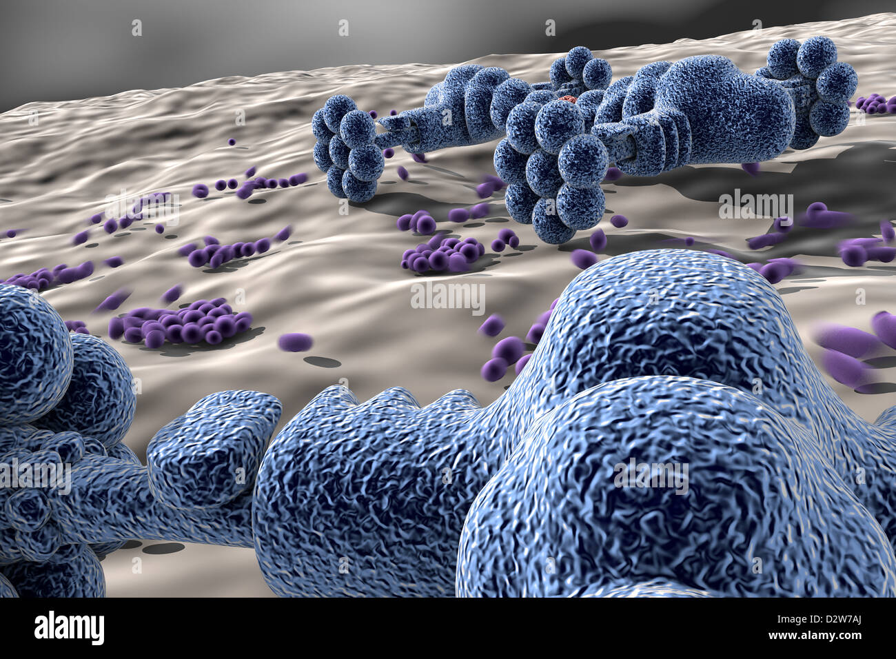 nanotechnology in science and medicine Stock Photo