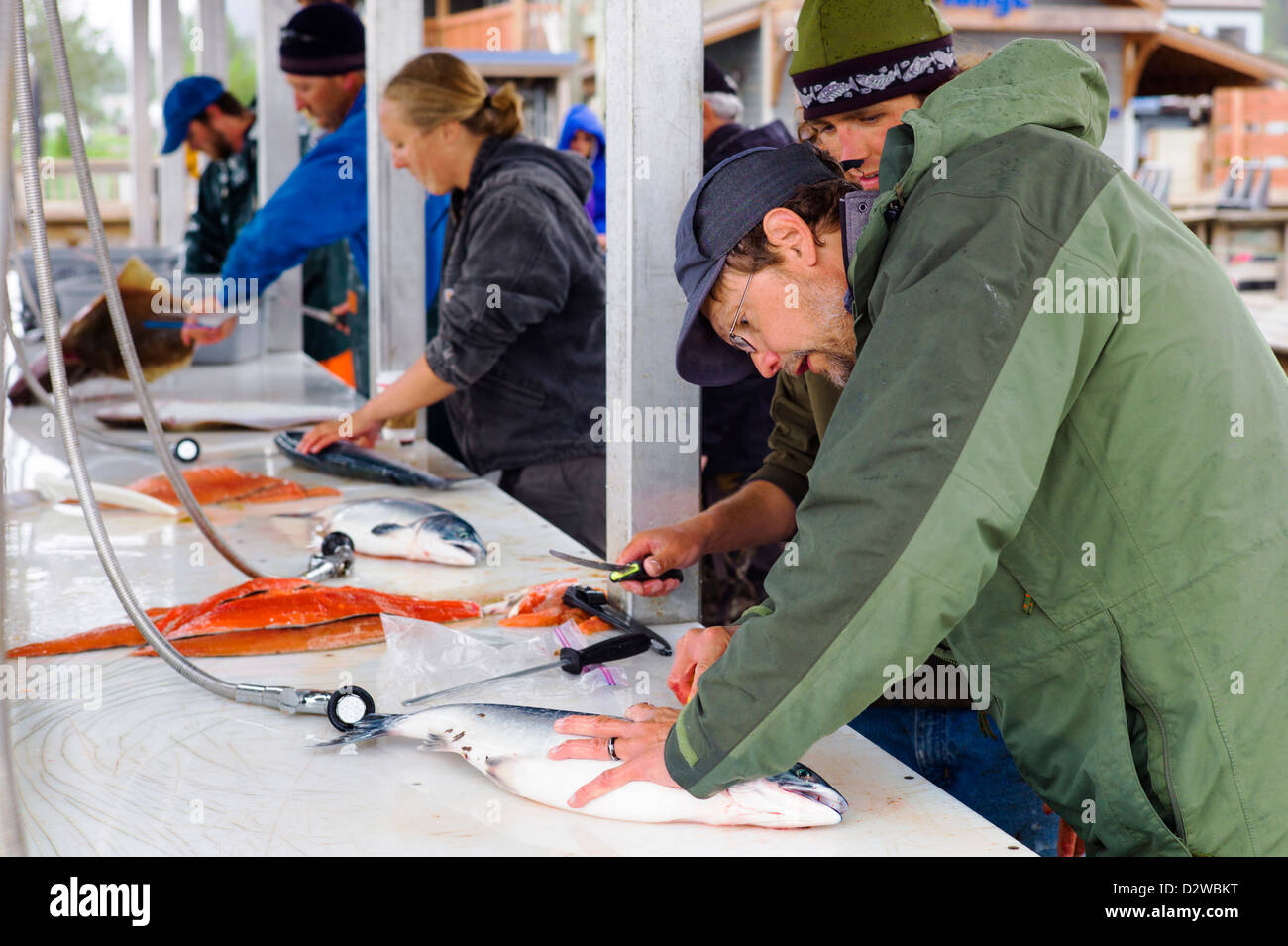 Fisherman and charter boat captains cleaning their catch of the day on