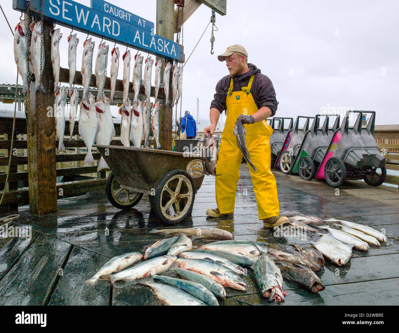 Fish catch display hi-res stock photography and images - Alamy