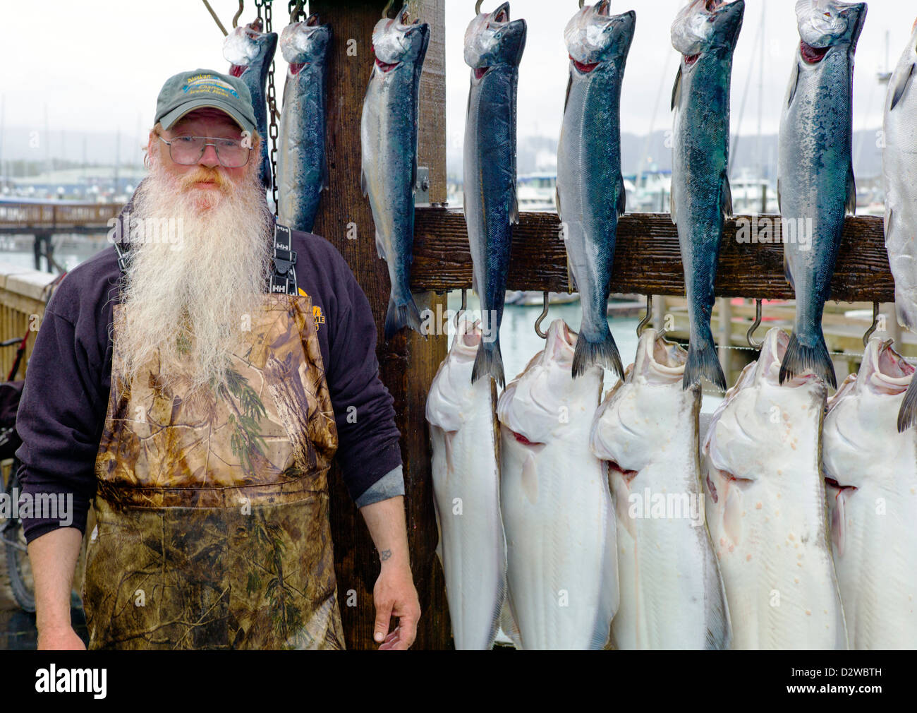 Charter fishing boat captains hang the catch of the day for customer
