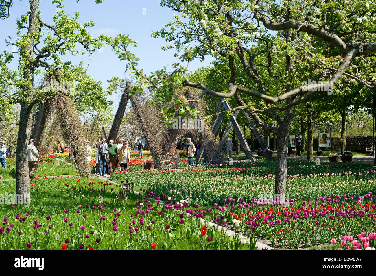 Berlin, Germany, visitors in the Britz Garden Stock Photo Alamy
