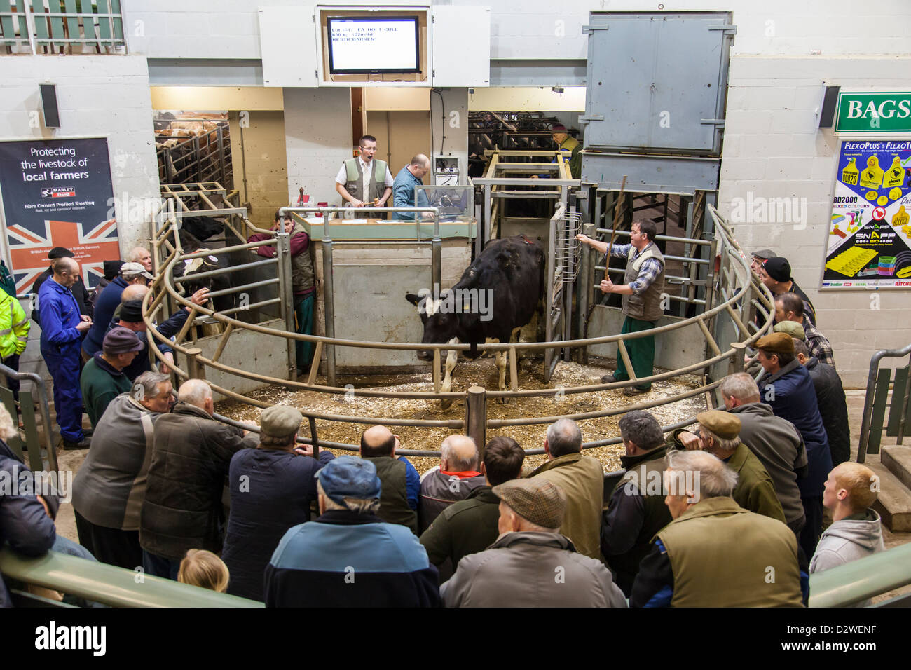 Bakewell Livestock Market, Bakewell, Derbyshire, England, U.K Stock