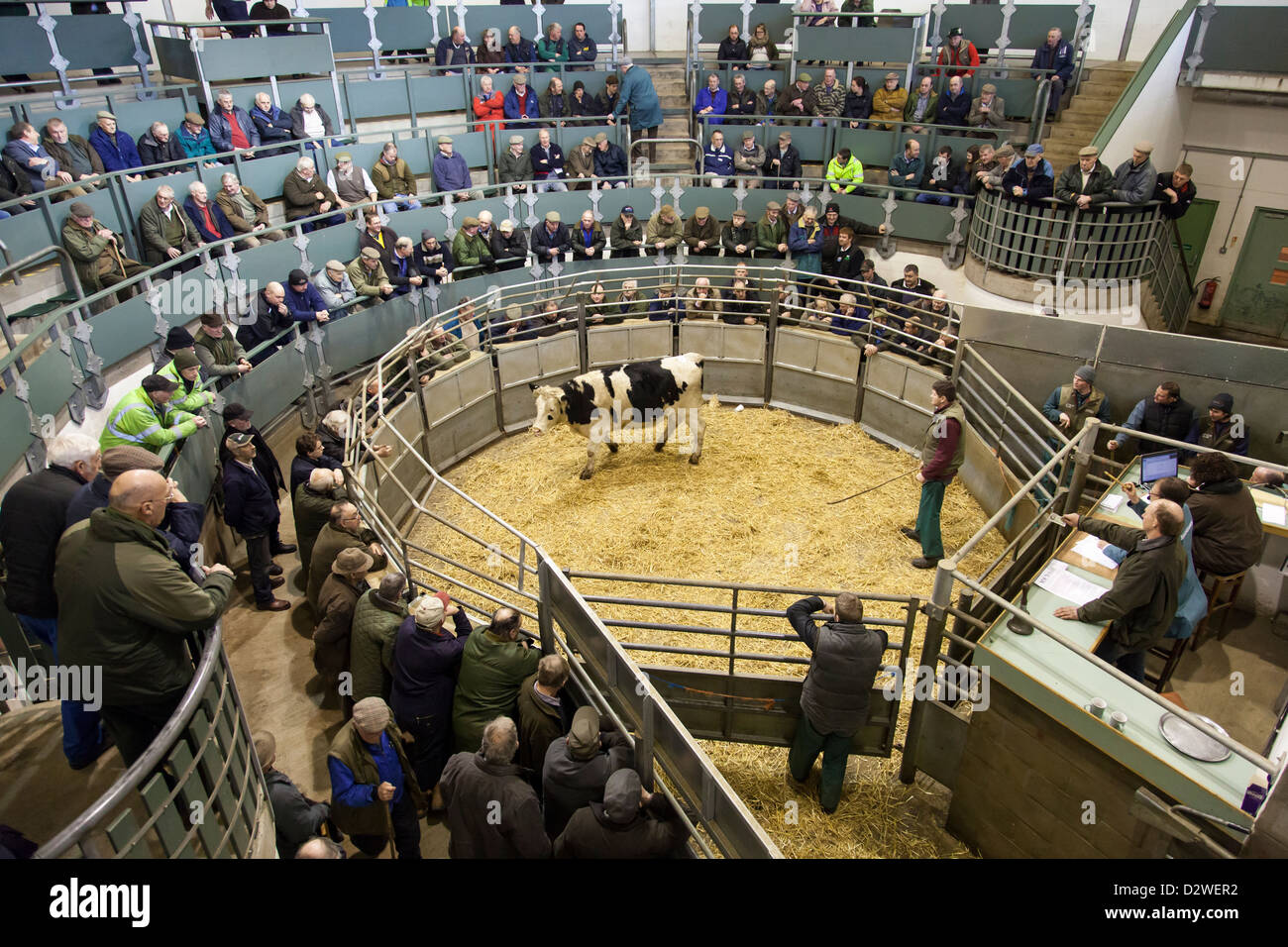 Bakewell Livestock Market, Bakewell, Derbyshire, England, U.K Stock