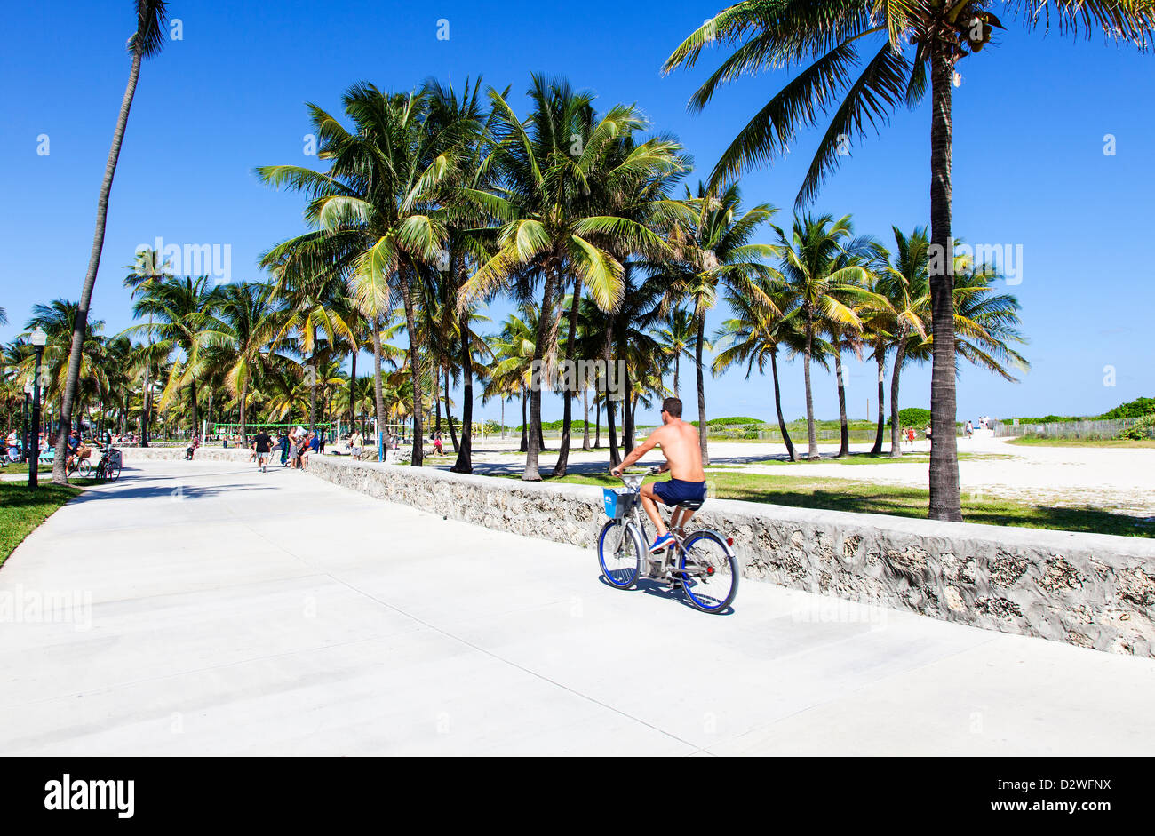 Lummus Park, Miami Beach, USA Stock Photo