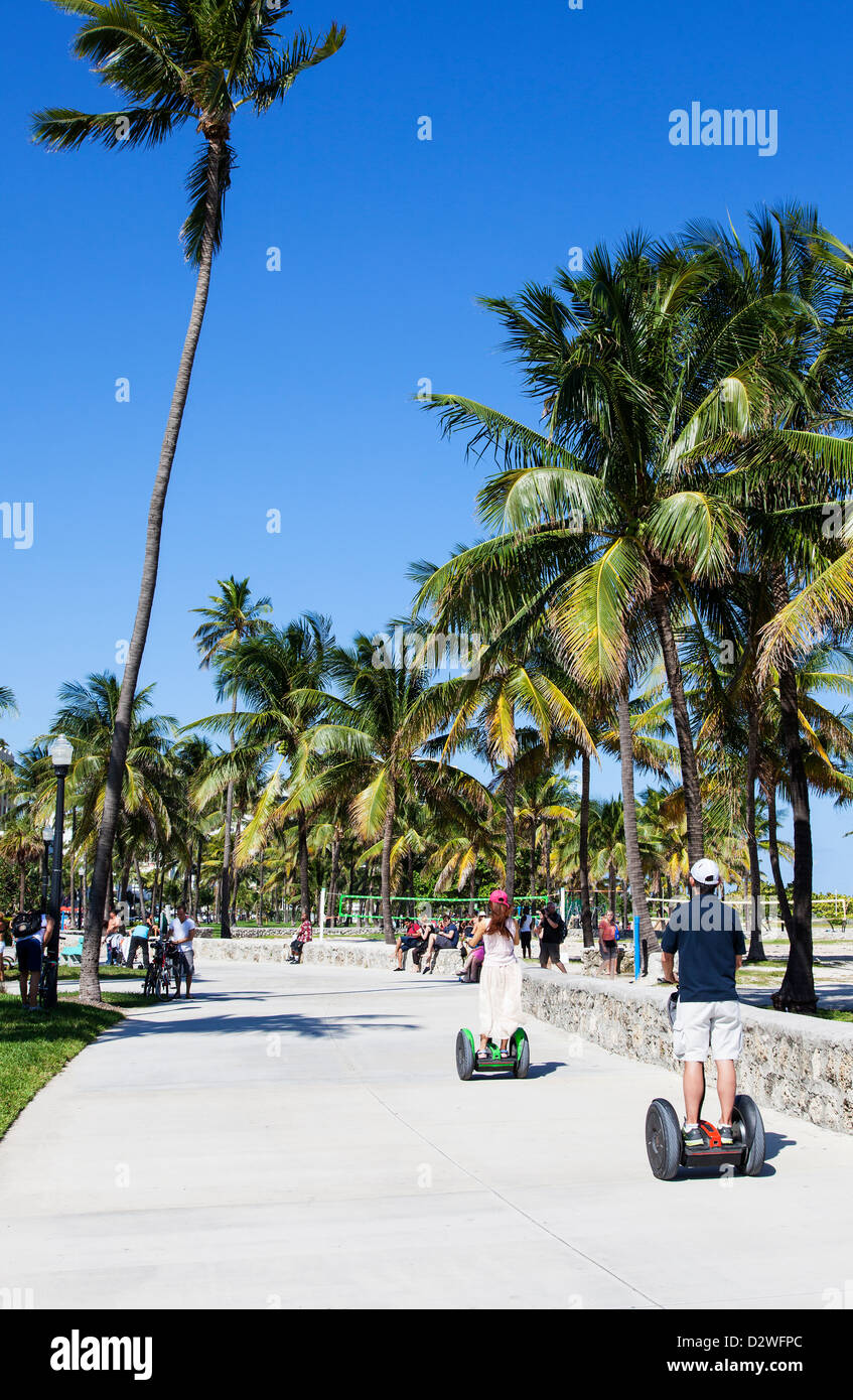 Lummus Park, Miami Beach, USA Stock Photo