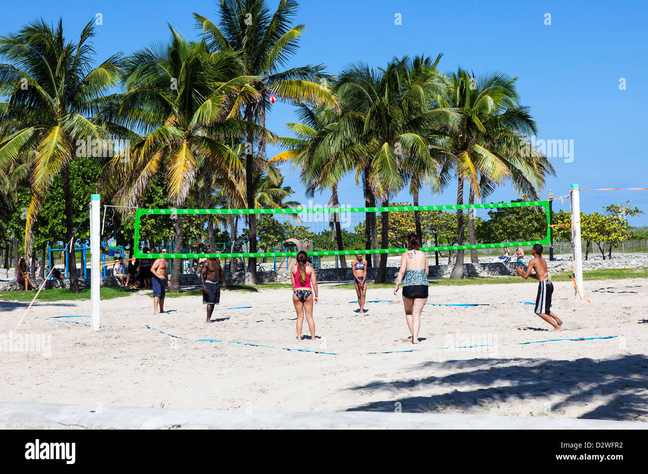 Young People Playing Volleyball, Lummus Park, Miami Beach, USA Stock Photo