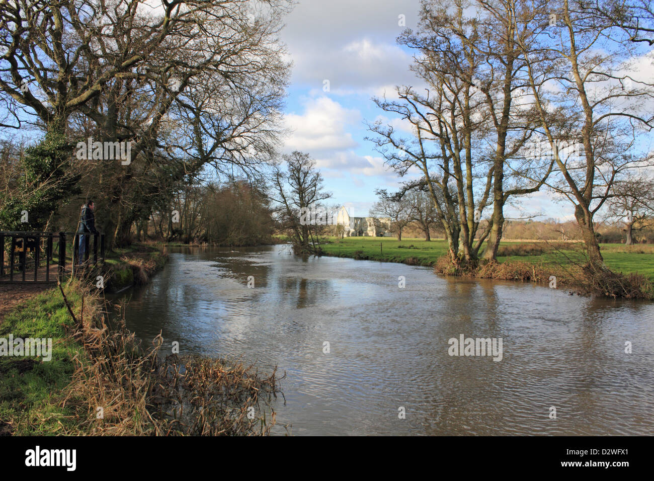 2nd February 2013. Pyrford, Surrey, England, UK. Sun shines on the