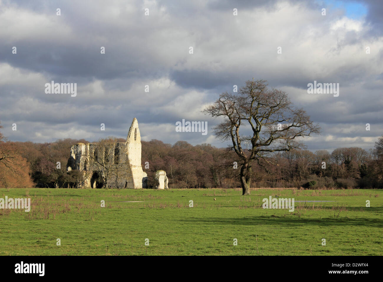 Henry viii monasteries england hires stock photography and images Alamy