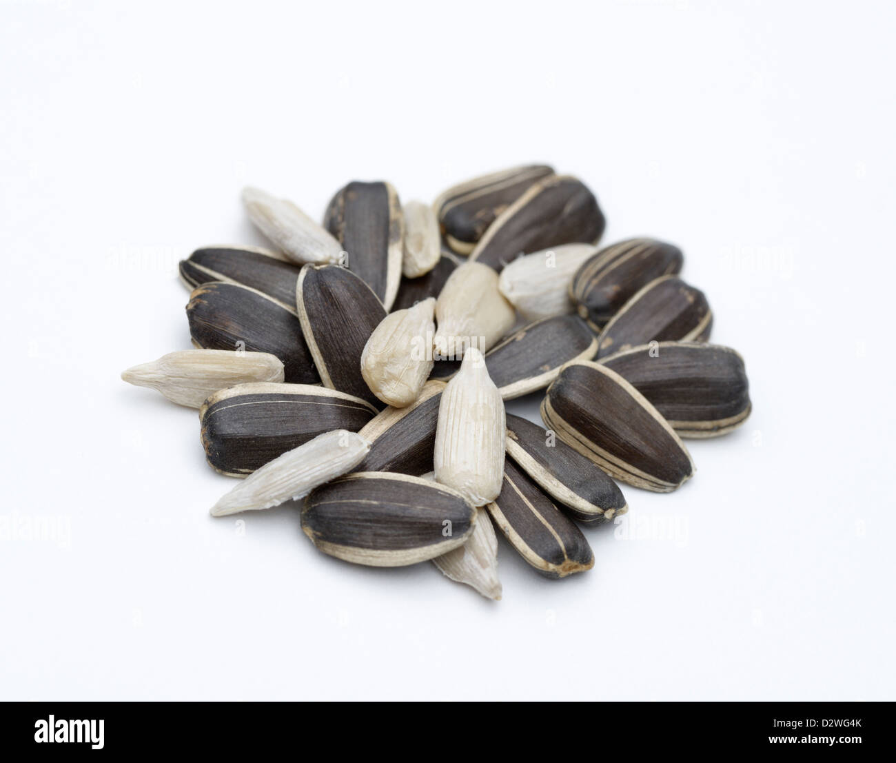 Sunflower seeds, hulled and de-hulled. The white is the kernel of the fruit (achene).  The black 'shell' is the pericarp. Stock Photo